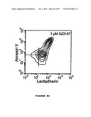 Method, composition and kit for detecting phosphatidylserine (PS) on cell membranes diagram and image