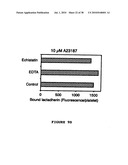 Method, composition and kit for detecting phosphatidylserine (PS) on cell membranes diagram and image