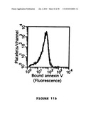 Method, composition and kit for detecting phosphatidylserine (PS) on cell membranes diagram and image