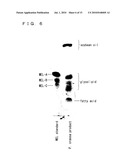 ACTIVATOR INCLUDING BIOSURFACTANT AS ACTIVE INGREDIENT, MANNOSYL ERYTHRITOL LIPID, AND PRODUCTION METHOD THEREOF diagram and image