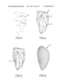 MULTIPLE SHELL CONSTRUCTION TO EMULATE CHAMBER CONTRACTION WITH A MAPPING SYSTEM diagram and image