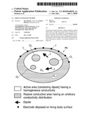 DIPOLE ESTIMATION METHOD diagram and image