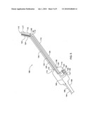 System and method for transfetal (amnion-chorion) membranes transport diagram and image