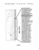 PLANTS HAVING ENHANCED YIELD-RELATED TRAITS AND A METHOD FOR MAKING THE SAME diagram and image