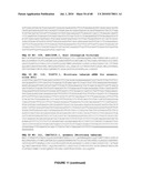 PLANTS HAVING ENHANCED YIELD-RELATED TRAITS AND A METHOD FOR MAKING THE SAME diagram and image