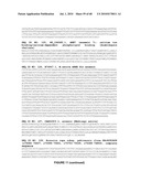 PLANTS HAVING ENHANCED YIELD-RELATED TRAITS AND A METHOD FOR MAKING THE SAME diagram and image