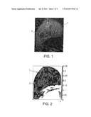 Method for Rheological Characterization of a Viscoelastic Medium diagram and image