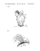 APPARATUS FOR WEARING A WIG diagram and image