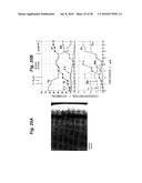 OXIDATION RESISTANT ALLOY COATING FILM, METHOD OF PRODUCING AN OXIDATION RESISTANT ALLOY COATING FILM, AND HEAT RESISTANT METAL MEMBER diagram and image