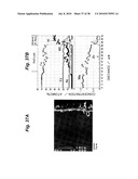 OXIDATION RESISTANT ALLOY COATING FILM, METHOD OF PRODUCING AN OXIDATION RESISTANT ALLOY COATING FILM, AND HEAT RESISTANT METAL MEMBER diagram and image