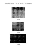 PARTICLE LITHOGRAPHY METHOD AND ORDERED STRUCTURES PREPARED THEREBY diagram and image