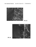 MULTILAYER POLYMERIC ARTICLES AND METHODS FOR MAKING SAME diagram and image