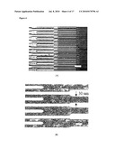 In Vitro Microfluidic Model of Microcirculatory Diseases, and Methods of Use Thereof diagram and image