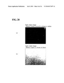 DETECTION DEVICE AND METHOD FOR MANUFACTURING THE SAME diagram and image