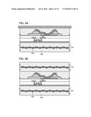 Light Emitting Device and Electronic Device diagram and image