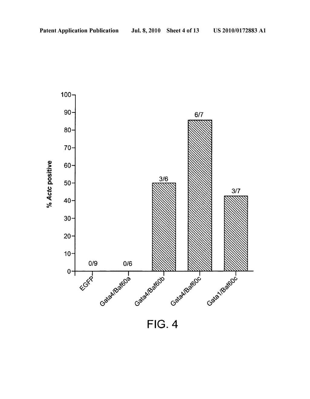 METHODS OF GENERATING CARDIOMYOCYTES - diagram, schematic, and image 05