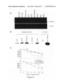 METHODS AND MATERIALS RELATED TO TRAIL ISOFORMS diagram and image