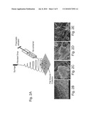 Electrospun Scaffolds And Methods Of Generating And Using Same diagram and image