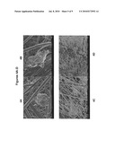 Electrospun Scaffolds And Methods Of Generating And Using Same diagram and image