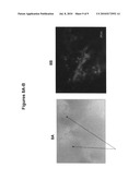 Electrospun Scaffolds And Methods Of Generating And Using Same diagram and image