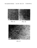 Nanoparticles for Protection of Cells from Oxidative Stress diagram and image