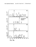 Chocolate extract, process of making, and uses thereof diagram and image