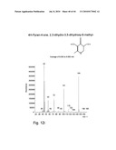 Chocolate extract, process of making, and uses thereof diagram and image