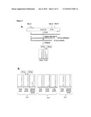 Methods and Compositions for Detecting a Drug Resistant Egfr Mutant diagram and image