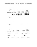 Methods and Compositions for Detecting a Drug Resistant Egfr Mutant diagram and image