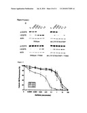 Methods and Compositions for Detecting a Drug Resistant Egfr Mutant diagram and image