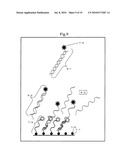 METHOD OF ANALYZING NUCLEIC ACID diagram and image