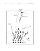 METHOD OF ANALYZING NUCLEIC ACID diagram and image