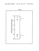 METHOD OF ANALYZING NUCLEIC ACID diagram and image