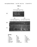 NOVEL SERPENTINE TRANSMEMBRANE ANTIGENS EXPRESSED IN HUMAN CANCERS AND USES THEREOF diagram and image