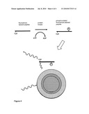 Assay Particles and Methods of Use diagram and image