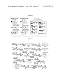 GLYCOSYLATION ENGINEERED ANTIBODY THERAPY diagram and image