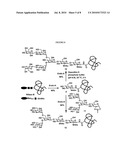 GLYCOSYLATION ENGINEERED ANTIBODY THERAPY diagram and image