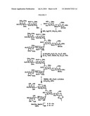 GLYCOSYLATION ENGINEERED ANTIBODY THERAPY diagram and image