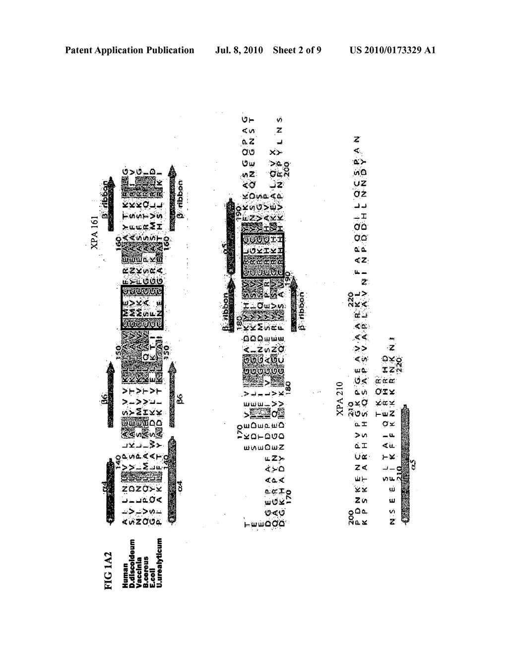 Exposed proliferation-related peptides, ligands and methods employing the same - diagram, schematic, and image 03