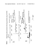 INCREASED PRODUCTION OF A TARGET PRODUCT VIA STABILIZATION OF mRNA diagram and image