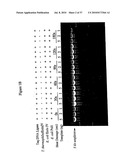 Repair of Nucleic Acids for Improved Amplification diagram and image