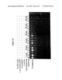 Repair of Nucleic Acids for Improved Amplification diagram and image