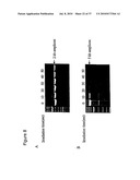 Repair of Nucleic Acids for Improved Amplification diagram and image