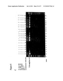 Repair of Nucleic Acids for Improved Amplification diagram and image