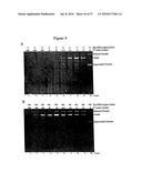 Repair of Nucleic Acids for Improved Amplification diagram and image