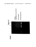 Repair of Nucleic Acids for Improved Amplification diagram and image