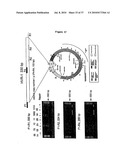 Repair of Nucleic Acids for Improved Amplification diagram and image