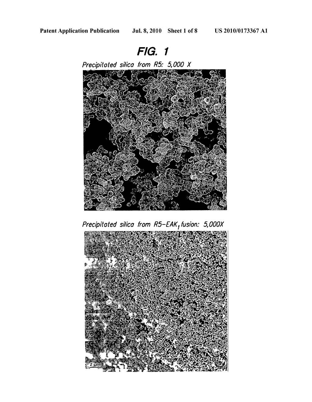 FUNCTIONALIZED MOLECULES COMPRISING AN AUTOSILIFICATION MOIETY AND METHODS OF MAKING AND USING SAME - diagram, schematic, and image 02