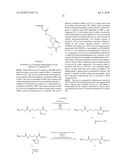 LEVETIRACETAM IMMUNOASSAYS diagram and image