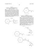 LEVETIRACETAM IMMUNOASSAYS diagram and image